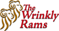 The Wrinkly Rams, Omarama New Zealand